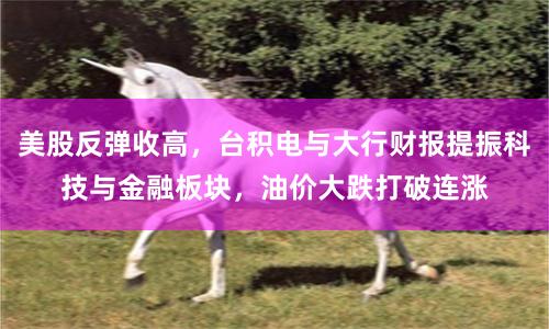 美股反弹收高，台积电与大行财报提振科技与金融板块，油价大跌打破连涨